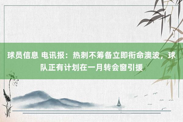 球员信息 电讯报：热刺不筹备立即衔命澳波，球队正有计划在一月转会窗引援