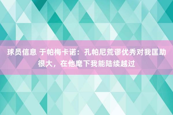 球员信息 于帕梅卡诺：孔帕尼荒谬优秀对我匡助很大，在他麾下我能陆续越过