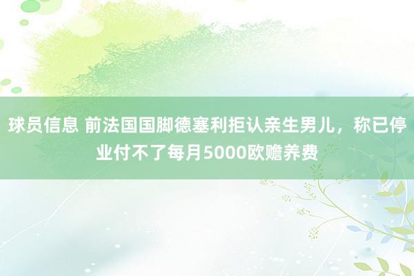 球员信息 前法国国脚德塞利拒认亲生男儿，称已停业付不了每月5000欧赡养费