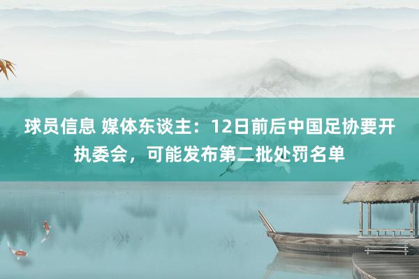 球员信息 媒体东谈主：12日前后中国足协要开执委会，可能发布第二批处罚名单