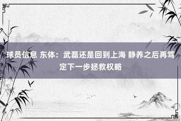 球员信息 东体：武磊还是回到上海 静养之后再笃定下一步拯救权略