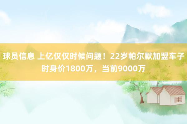 球员信息 上亿仅仅时候问题！22岁帕尔默加盟车子时身价1800万，当前9000万