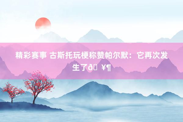 精彩赛事 古斯托玩梗称赞帕尔默：它再次发生了🥶