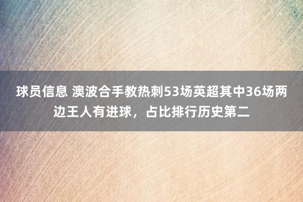 球员信息 澳波合手教热刺53场英超其中36场两边王人有进球，占比排行历史第二