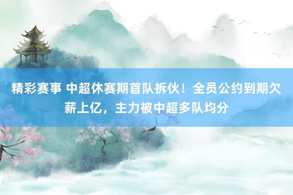 精彩赛事 中超休赛期首队拆伙！全员公约到期欠薪上亿，主力被中超多队均分