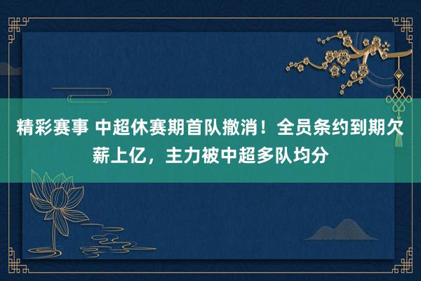 精彩赛事 中超休赛期首队撤消！全员条约到期欠薪上亿，主力被中超多队均分